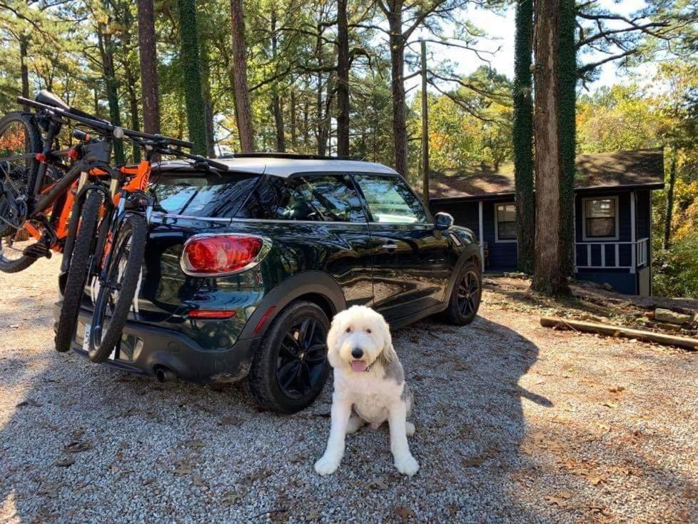 Loblolly Pines Adventure Cabin 2 King Юрика Спрингс Экстерьер фото