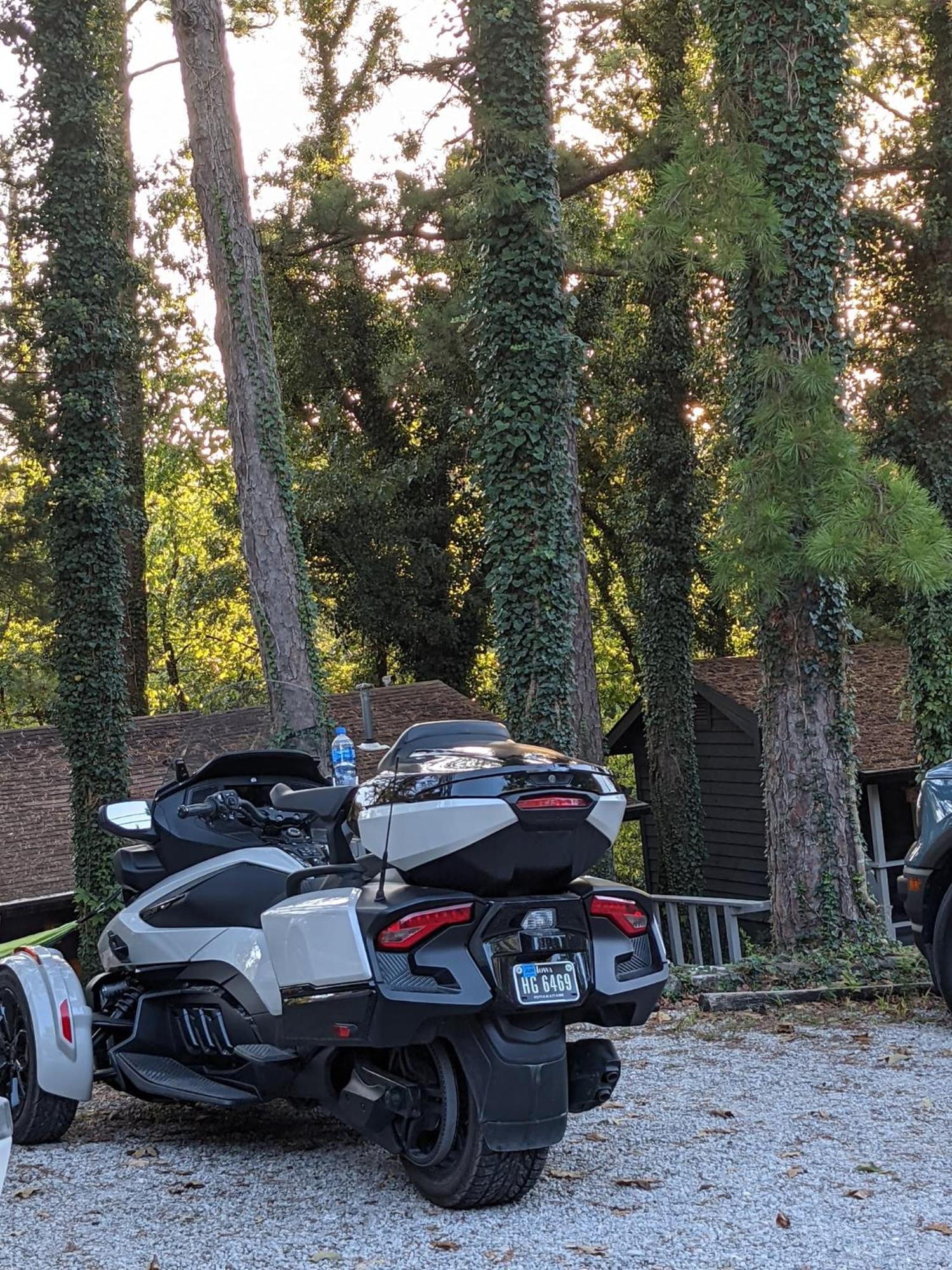 Loblolly Pines Adventure Cabin 2 King Юрика Спрингс Экстерьер фото